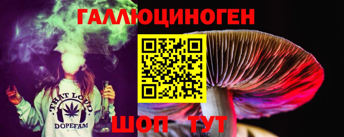 Черняховск  Псилоцибиновые грибы прущие грибы  Вход с VPN 